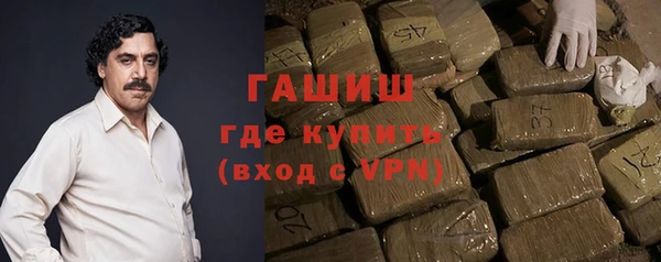 гашик Алексин