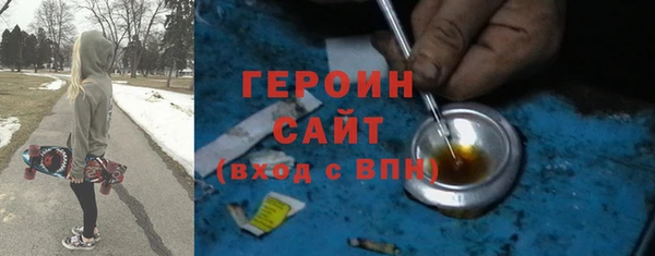 гашик Алексин