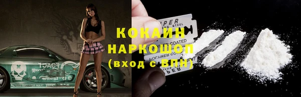 гашик Алексин