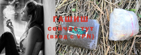 гашик Алексин