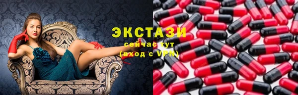 гашик Алексин