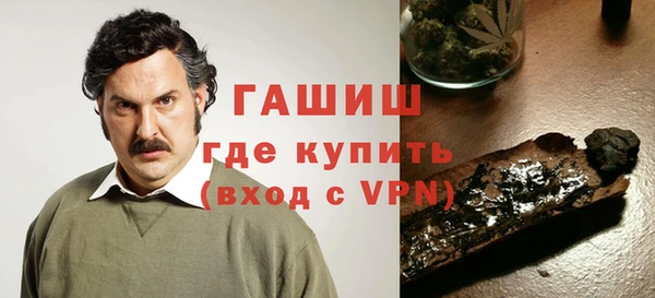 гашик Алексин