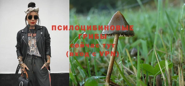 ALPHA-PVP Алексеевка
