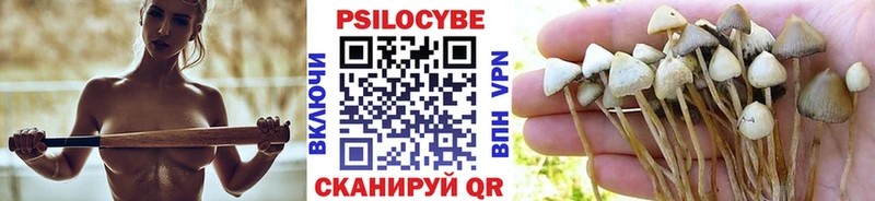 дарк нет клад  Неман  Галлюциногенные грибы мицелий  купить наркотик 